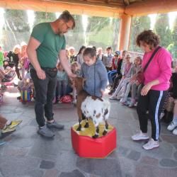 Img 4527