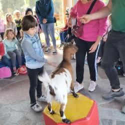 Img20230526101852