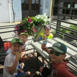 Img 4574