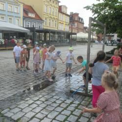 Img 4586
