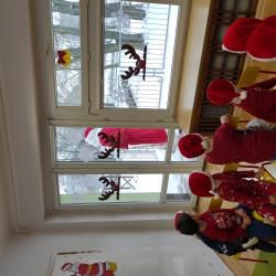 Img 20231206 091055