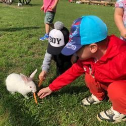 Img 20240617 Wa0001