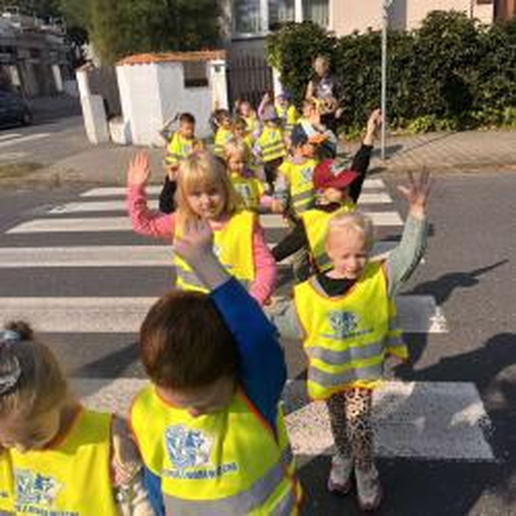 459288640 1704553263644063 5108119732518485415 N