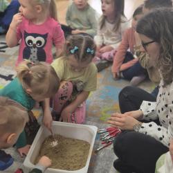 Zdjcie Whatsapp 2025 03 10 O 18.02.49 2b6c3805