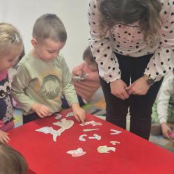 Zdjcie Whatsapp 2025 03 10 O 18.02.50 4bfef666