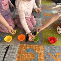 482669826 3992169267686154 6685331354520913585 N