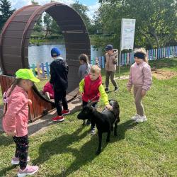 Messenger Creation 1ddc9a4d 26a8 4536 B550 A025243ab2a8