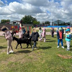 Messenger Creation A201f65a 0a96 4da4 9262 D8d36a22d471