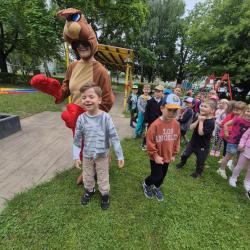 5ce80035 0945 423a A69a E0f605eaf4db