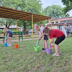 6e9367bd 394f 4294 B2a5 Eb30da0ea5a3