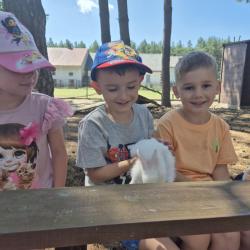 2762a6a2 3561 4ea1 91dc Ab354f59fdef