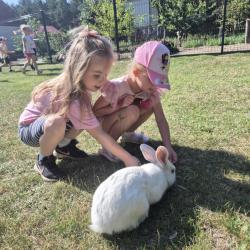 4a52fd8d 06bc 49c0 8c25 F59954c22726