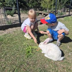 8adb7230 4758 4686 89f5 F32be05380ff