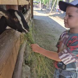 Adccf5d9 2d77 4789 9205 6f29f7732e8b