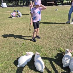 Ca4efbef Ed68 4c2d Bcf2 74334b57bc0a