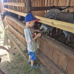 Cb9ebfb9 Acfb 4a8f A15c Bce14b576211