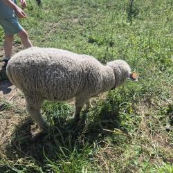 D60e46d8 5a52 4496 A0b1 999e1cfea3b5