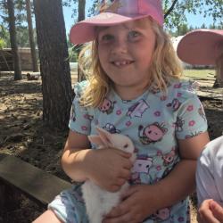 Eb73029a E501 49a2 800a Eb8e617fa0ed