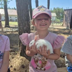 Ece0db54 A56b 4778 Ad00 812554ddb73f