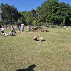 Fa39ef09 Aa11 4d0f 8068 54de6859d4cb