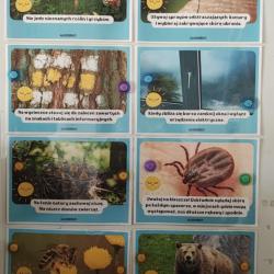 D1a8f016 4c0f 4e18 B0ab 3ac80f2611b0