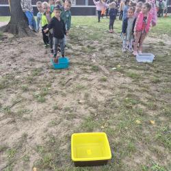 462d3cba 37c0 46c5 A67e Bbe0129f86cb