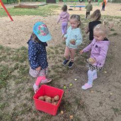 Zdjcie Whatsapp 2025 09 23 O 11.05.24 Ea673de6