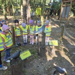 Ba3e9960 9c5d 4e78 B9cc 362ff9853e1a