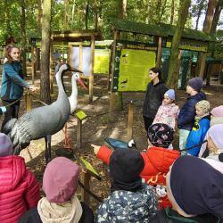 Messenger Creation 05979785 C2d8 4e31 8252 Fd8ccbba656e1