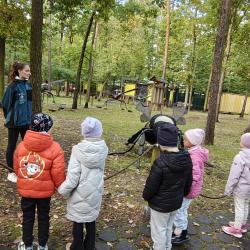 Messenger Creation D416998c 946c 4a74 Ad7b 07b60f0f75de