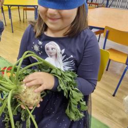 633b87a6 1519 4356 Bfb8 E84b72c6ac54