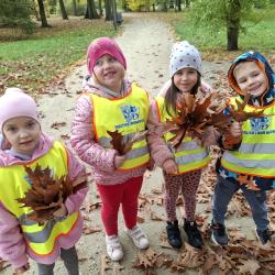 5ce9ec3a 7eae 4b52 A73b 64920de51529