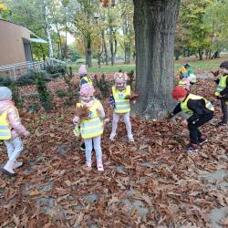 63e3740a 76a5 4488 B774 Aaefdcab2fa9