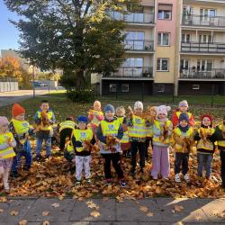 B472921e 5cf0 4533 B694 4d0f364acdfd