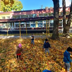 Zdjcie Whatsapp 2025 10 20 O 19.16.26 F4a42812