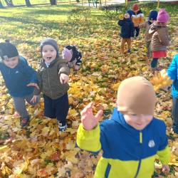 Zdjcie Whatsapp 2025 10 20 O 19.16.40 61b0b94d