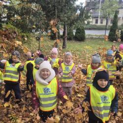 Zdjcie Whatsapp 2025 10 26 O 10.53.44 3675c375