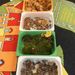 Jeżyki i gramy zmysłami - naturalna ścieżka sensoryczna 