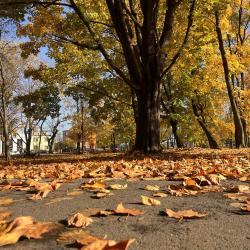 4442b2ed 1a94 4210 88f7 47bc489790a0