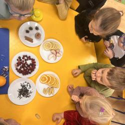 E4a84598 Ed4c 4fa2 Adc9 B476f0427446