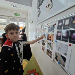 E186d278 22f6 4e8f 9220 Ac2881483e96