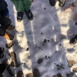 C1ad9c24 557a 46ee A6a6 A49bdf3a6a7b