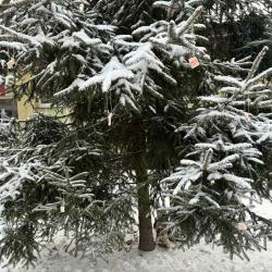 A9b0966e 123f 4280 9854 Df680f866d18