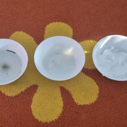 2773af55 1ac5 4163 Bcff 6a0ca23aa345