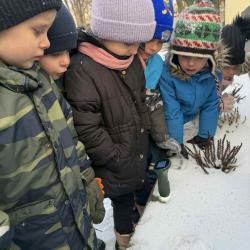 34352a46 3a7f 4e81 Ab11 95f5dc0516ed