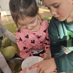 6cb4f2d2 2ca8 40f1 8bd2 217afa63f41e