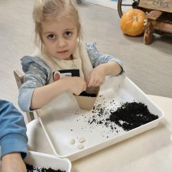 Ff01984d 6a4e 45b9 B996 9b37c30c8782